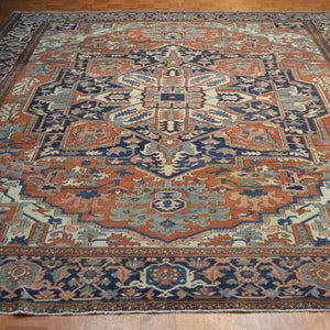 Serapi Rugs