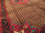 5' 4" x 10' 4" Persian Koliai Rug image 2