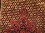 5' 3" x 10' 6" Persian Koliai Rug image 2