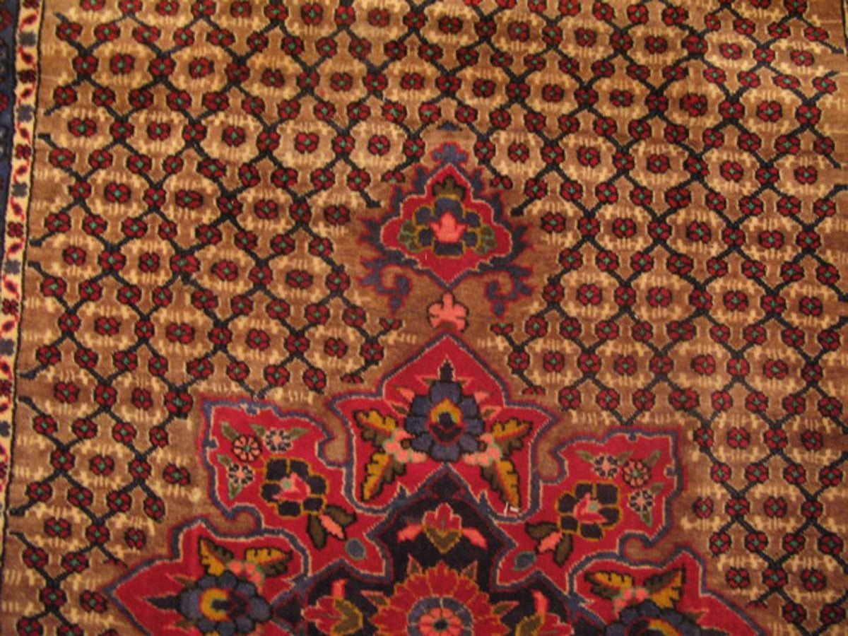 5' 3" x 10' 6" Persian Koliai Rug image 2