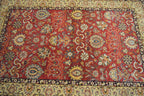 4' 1" x 6' 0" India Agra Rug image 2