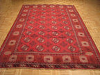 6' 9" x 10' 1" Persian Turkmen Rug image 1