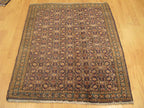 2' 7" x 3' 2" Persian Ardabil Rug image 1