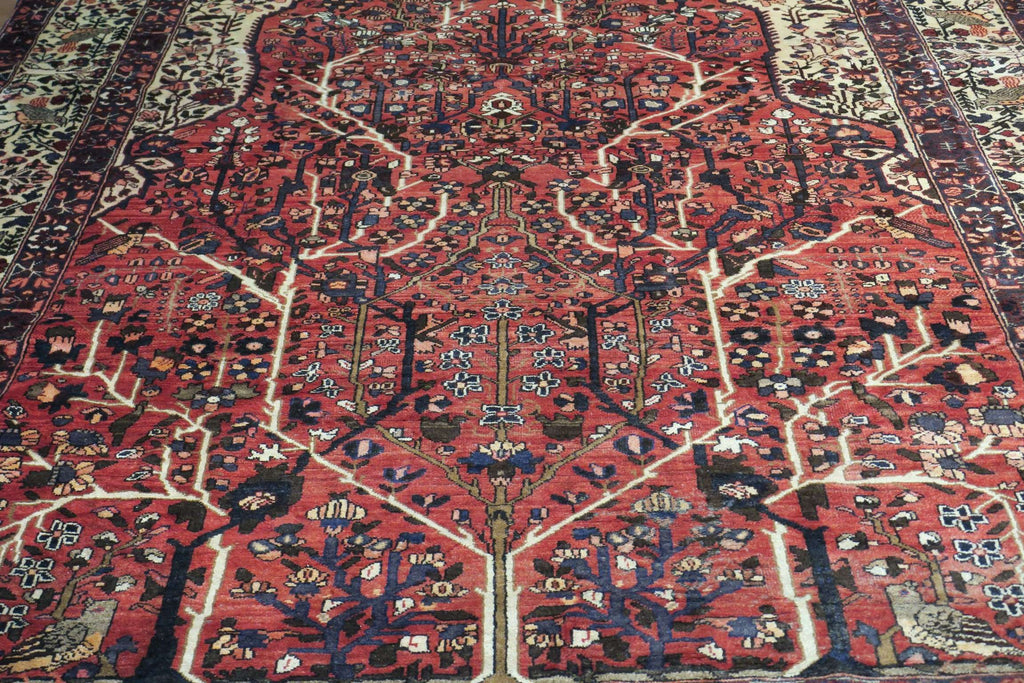 6' 9" x 10' 4" Vintage Khorasan Rug image 11