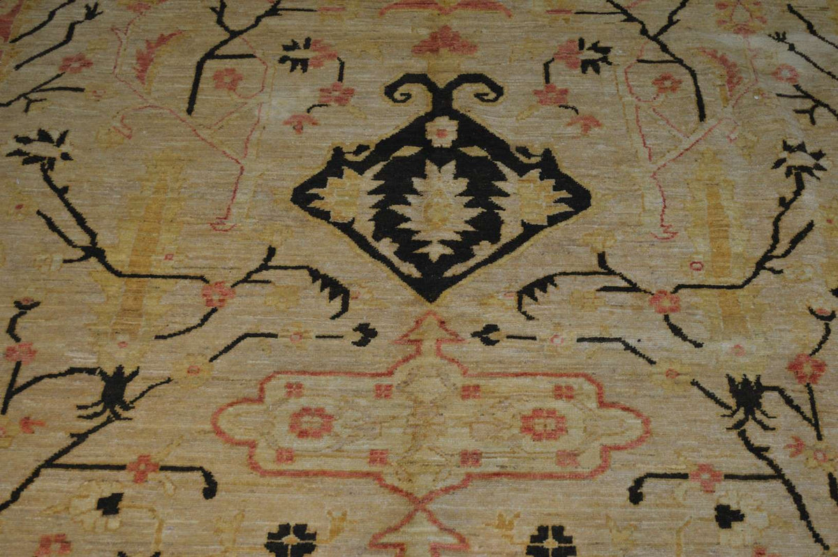 11' 8" x 16' 8" Pakistan Ziegler Rug image 5
