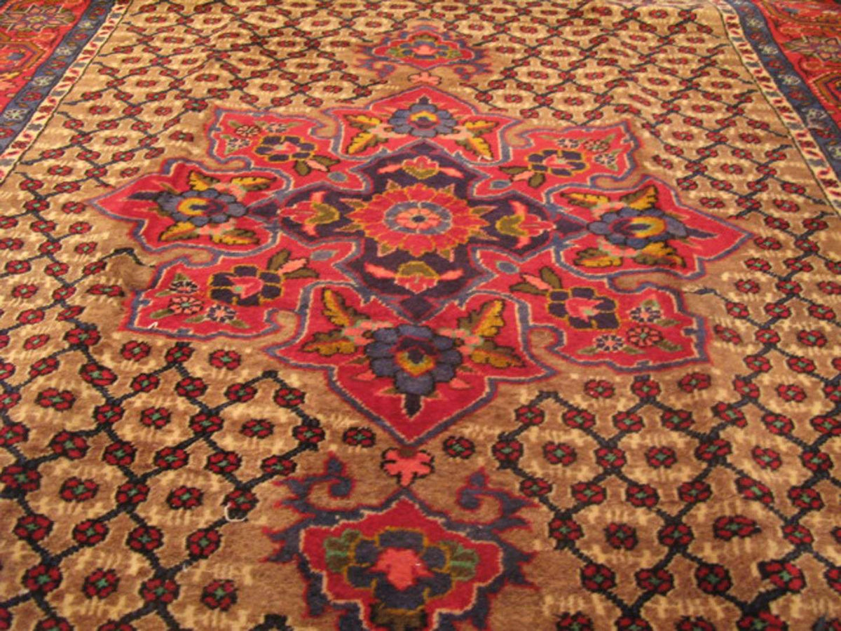 5' 3" x 10' 6" Persian Koliai Rug image 9