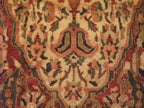 5' 3" x 9' 8" Persian Bakhtiari Rug image 3