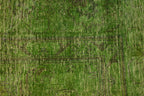 8' 8" x 10' 4" Pakistan Vintage Rug image 1