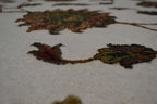 8' 4" x 8' 4" India Tabriz Round Rug image 8