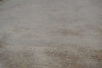 2' 4" x 4' 3" India Tabriz Rug image 12
