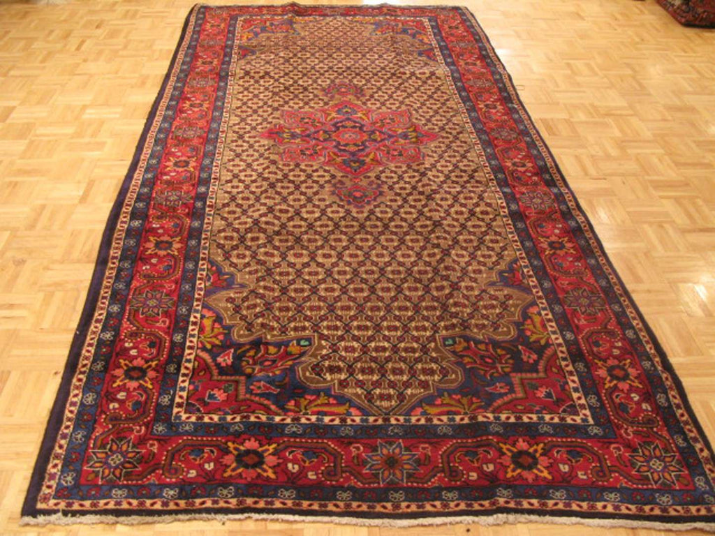 5' 3" x 10' 6" Persian Koliai Rug image 1