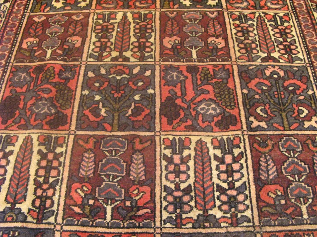 5' 4" x 9' 1" Persian Bakhtiari Rug image 5