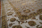 10' 0" x 14' 2" India Jaipur Rug image 3