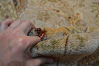 9' 0" x 11' 9" India Agra Rug image 11