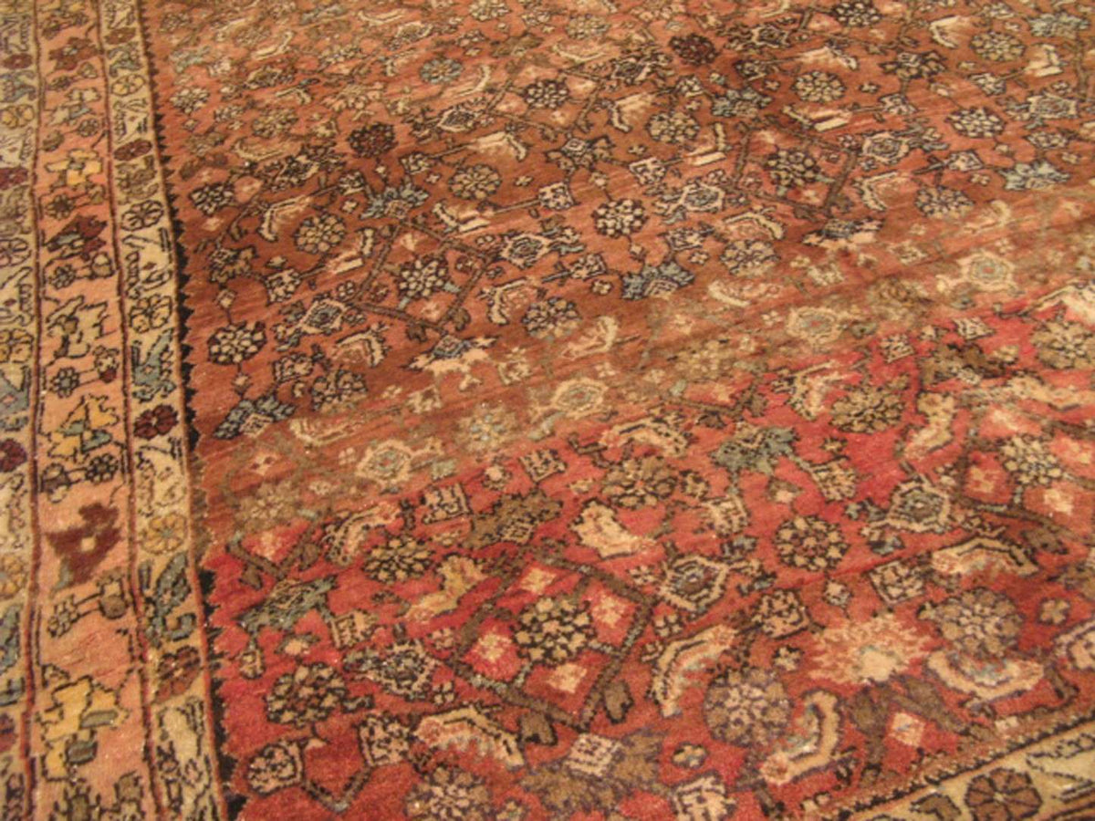 3' 8" x 4' 1" Persian Bijar Rug image 10