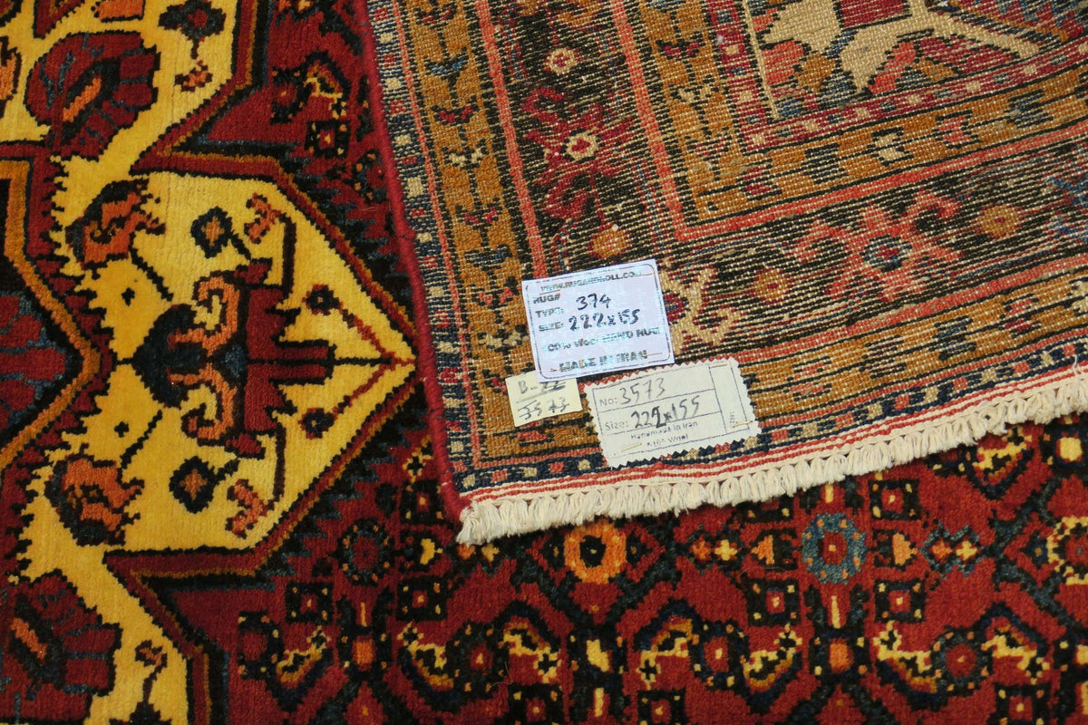 5' 1" x 7' 3" Persian Hamadan Rug image 0