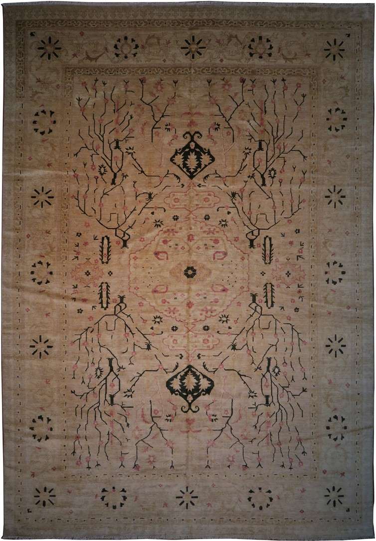 11' 8" x 16' 8" Pakistan Ziegler Rug image 0