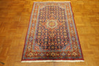 3' 1" x 4' 9" Persian Zanjan Rug