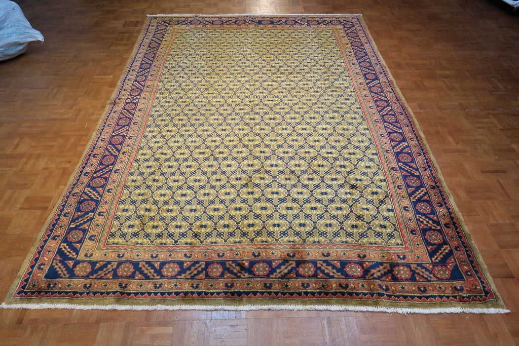 7' 2" x 10' 1" Persian Koliai Rug