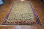 7' 2" x 10' 1" Persian Koliai Rug