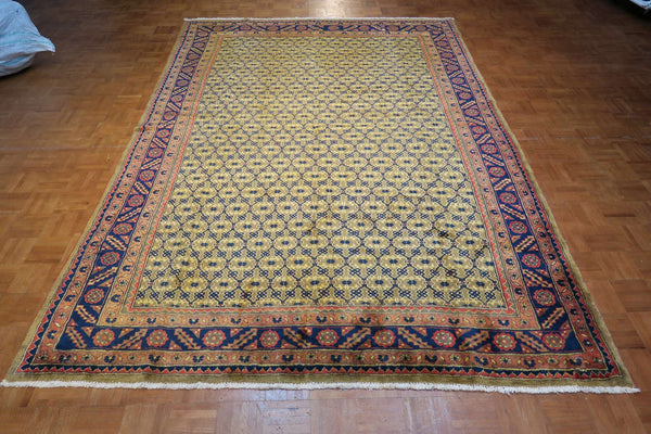 7' 2" x 10' 1" Persian Koliai Rug