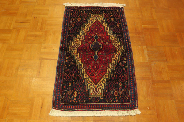 2' 2" x 3' 2" Persian Sanandaj Rug