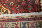 3' 3" x 4' 9" Persian Hamadan Rug