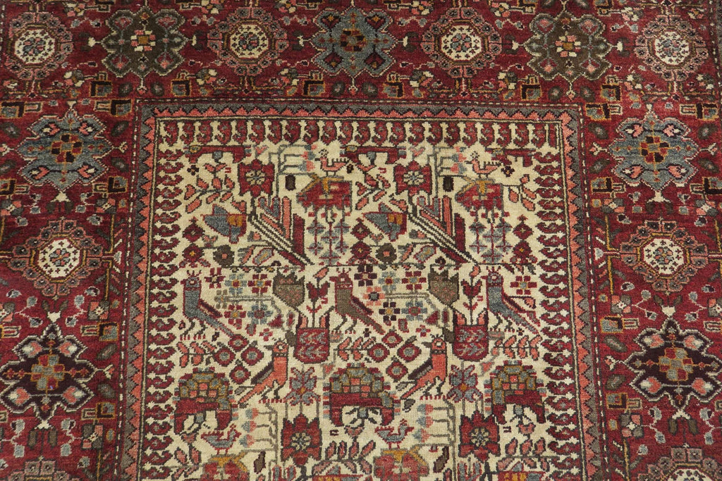 4' 3" x 6' 8" Persian Ardabil Rug