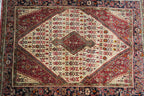 3' 7" x 5' 1" Persian Jozan Rug