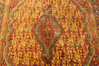3' 7" x 5' 5" Persian Jozan Rug
