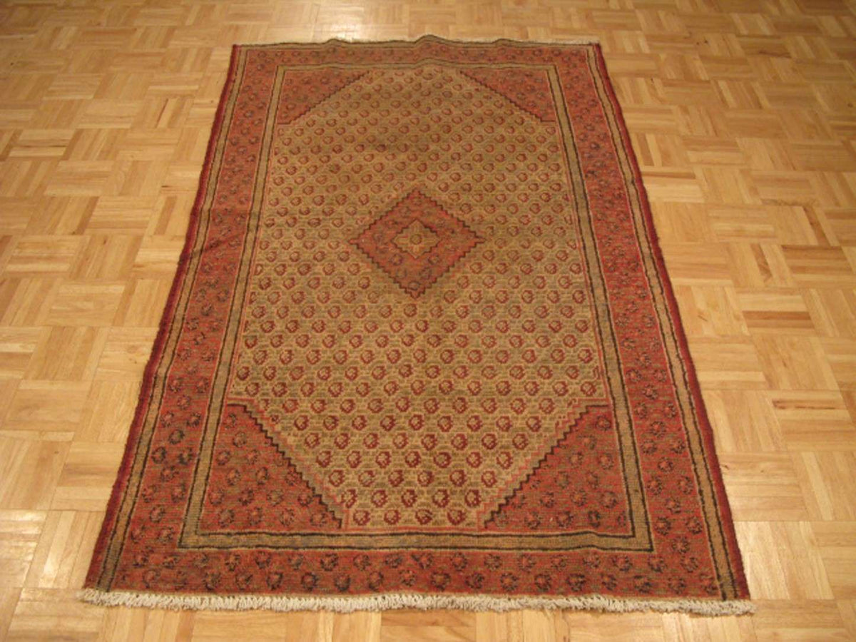 3' 8" x 6' 2" Persian Malayer Rug image 1