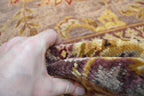 8' 0" x 10' 0" India Sultanabad Rug image 11