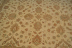 8' 0" x 9' 10" Pakistan Peshawar Rug image 3