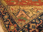 4' 0" x 6' 1" India Serapi Rug image 6