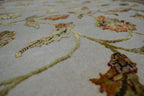 4' 1" x 6' 3" India Agra Rug image 10